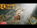 The Whitetail Return! Call of the Wild: TheHunter