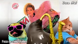 Foca Da Meia-Noite - Doce Mel Xuxa