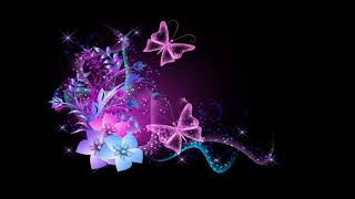 Stefan KC - Rainbow Butterflies