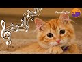 🐱 12 HOURS of Relaxing Music for Cats [Anxiety &amp; Boredom Buster] 🐱