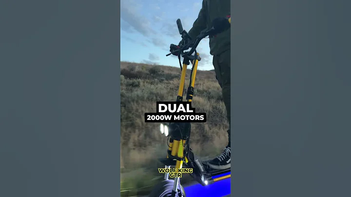 Which $4000 Super Scooter is BEST? Wolf King GTR vs INMOTION RS