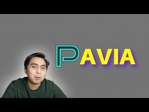 PAVIA Metaverse - BAHAS Project, Potensi, & Resiko