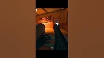 Warzone 2 TOP Clip with META FENNEC!