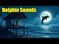 Soothing OCEAN SOUNDS With DOLPHIN Noises 10 Hours Dolphin Sounds Sounds Of The Ocean Soothing OCEAN SOUNDS With DOLPHIN Noises 10 Hours Dolphin Sounds Sounds Of The Ocean