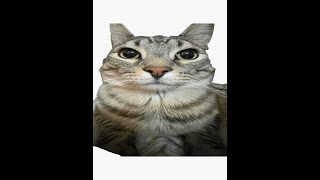 Pinegi Epic Fragmovie