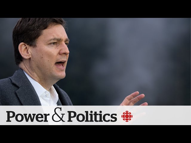 B.C. United Leader says merger with B.C. Conservatives unlikely | Power & Politics