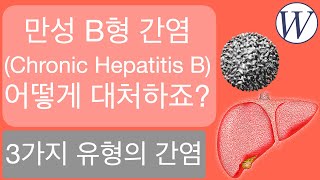 3가지 유형의 간염! 만성 B형 간염(Chronic Hepatitis B)이 무엇이고, 어떻게 대처해야하죠 - 웨스턴 병원 -
