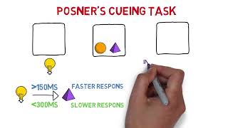 Posner's cueing task | MinsEducation |