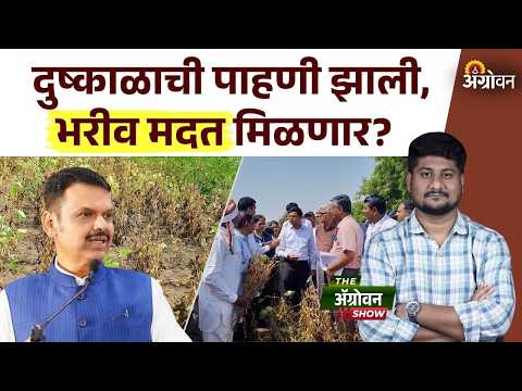 Drought Madat : राज्यातील ६५ तालुक्यांत पाहणी केल्यावर केंद्रीय पथकाने काय सांगितले? | Agrowon