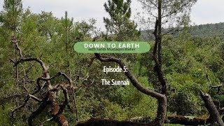 Down To Earth - Episode 5