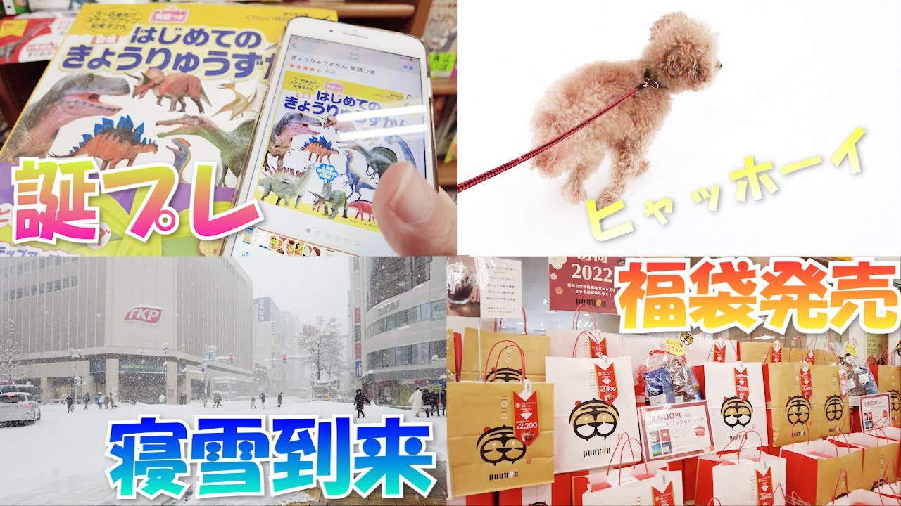 Vlog 爆走ヒャッホーイ 誕プレ探し 根雪到来 ドトール福袋発売 Youtube Vlog 爆走ヒャッホーイ 誕プレ探し 根雪到来 ドトール福袋発売 Youtube