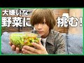 野菜大嫌いな2.5次元俳優が、サラダボウルに挑戦します！泣