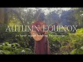 AUTUMN EQUINOX 1 Hour Sound Healing Let Go And Release Forest Sounds Ambient Guitar Vocals 