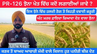 ਝੋਨਾ PR-126 ਬਾਰੇ ਪੂਰੀ ਜਾਣਕਾਰੀ-ਵੇਖੋਂ ਇਸ ਵੀਡੀਓ ਵਿੱਚ Paddy 2026 #paddy #farmer #farming #corn #kisan 