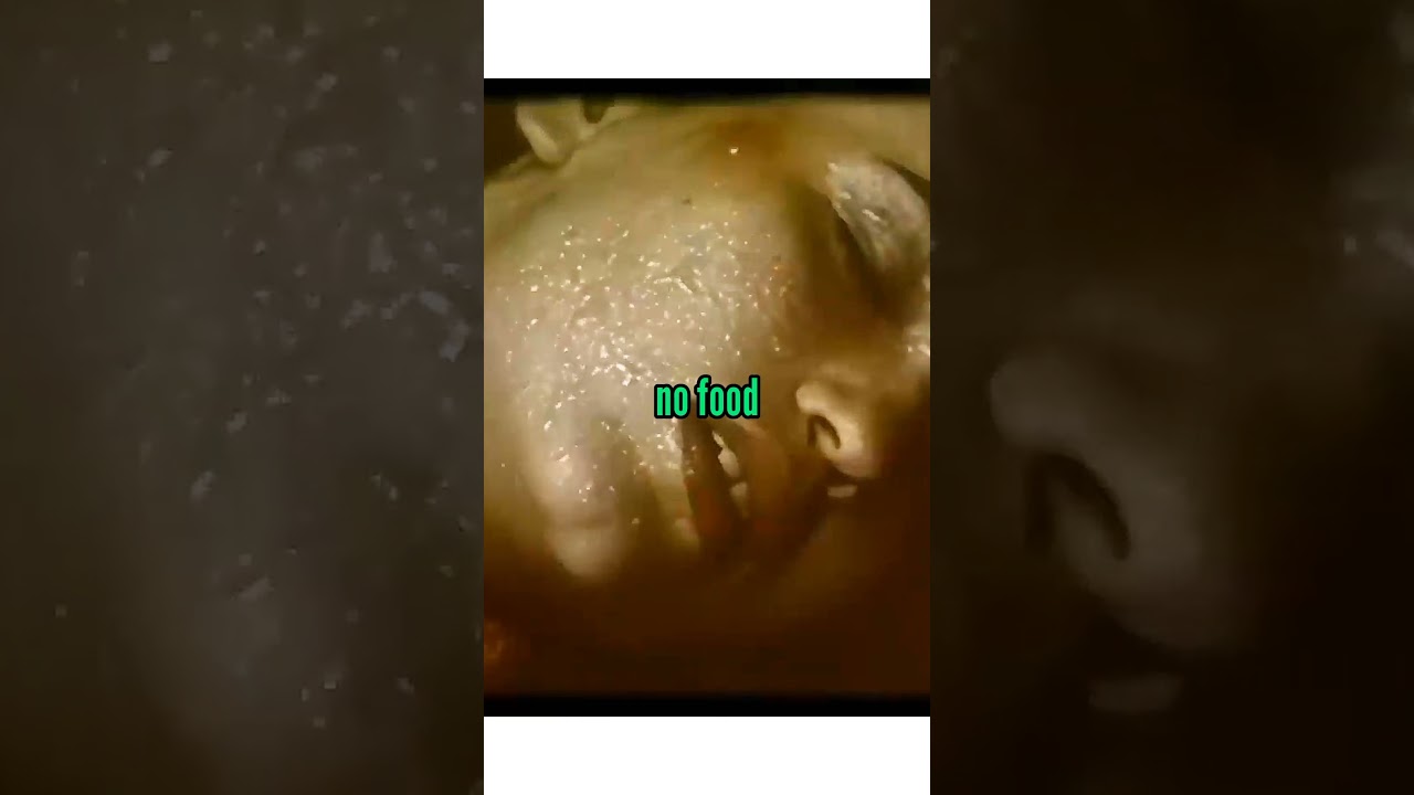 Она упала с высоты 10 000 футов!