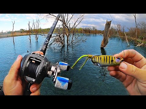 EXPLOSIVE Topwater Bite in a FLOODED Forest! (New Bait) 
