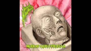 Abörted Hitler Cöck - Live a Whore, Die a Whore