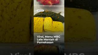 Menu MBG Lele mentah?#beritaviral #dailyfactid #mbg #fakta #makananviral