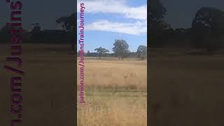 VLINE Southern Cross To Bendigo 100326 #VLINE #TRAINS #TRAVEL #SHORTS #RAILFANS #RAILWAY #RAIL