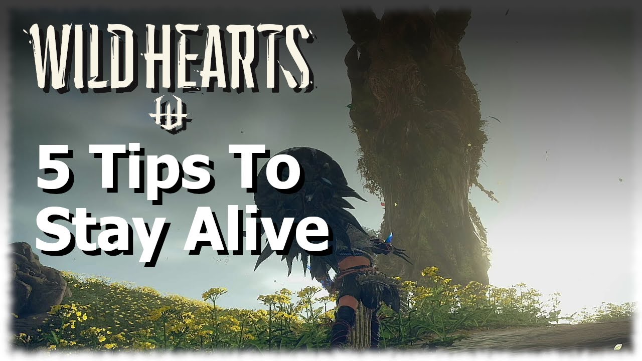 Play Wild Hearts NOW, Early Acess Guide