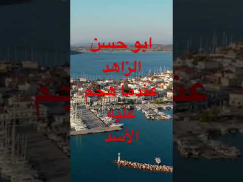 ابو حسن الزاهد الجزائر اكسبلور دويتو مصر تيك توك ترند لايك قصص السعودية في