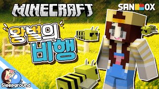 벌에 쏘이다? 마인크래프트 커스텀 커맨드 왕벌의 비행 - Custom Command - 잠뜰
