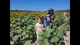 Sunflower Festival 2022 Snohomish Washington with Filipino American Kids Caleb and Callie