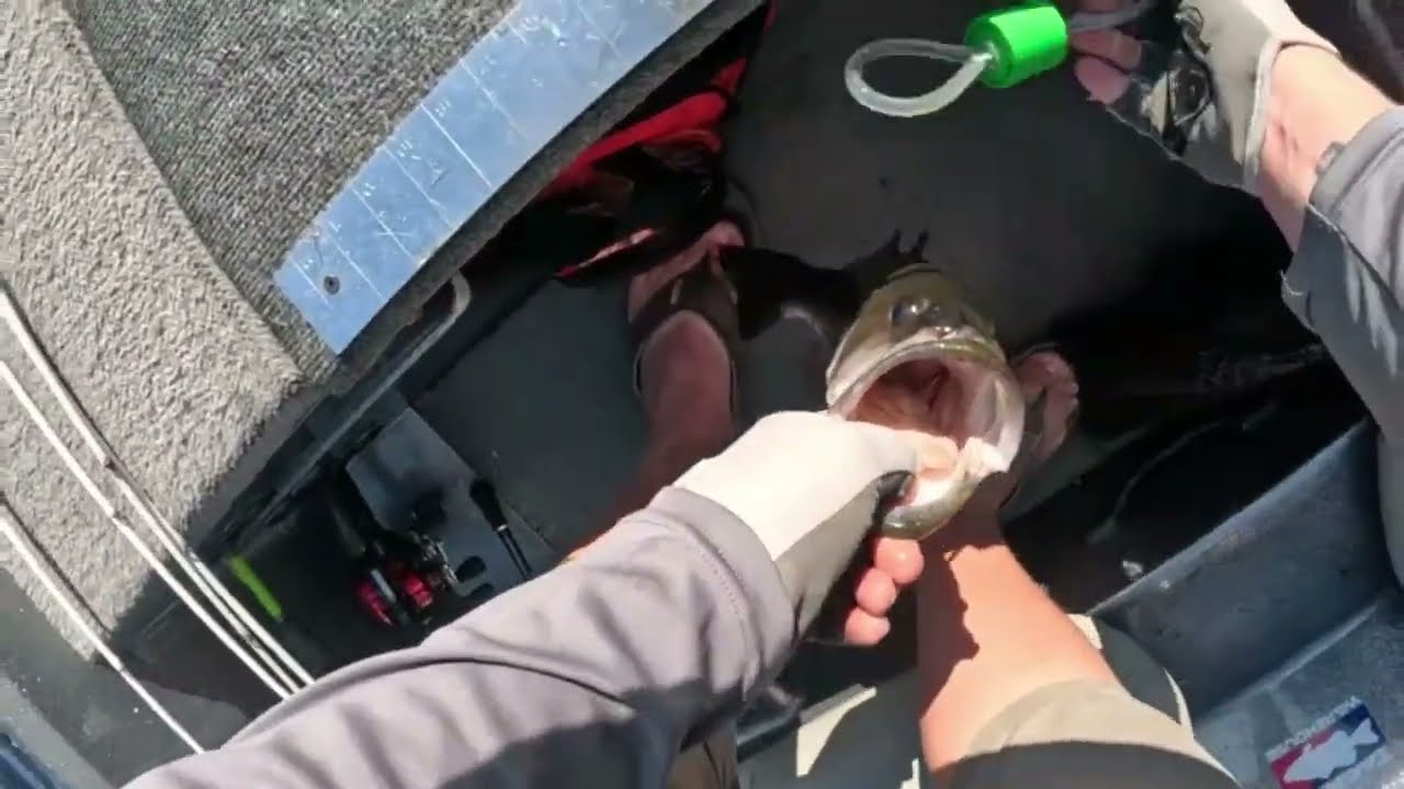 bass fishing Pembroke River 9-21-24