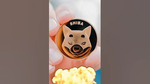 SHYTOSHI KUSAMA BURNED 100 TRILLION SHIBA INU! #Shorts