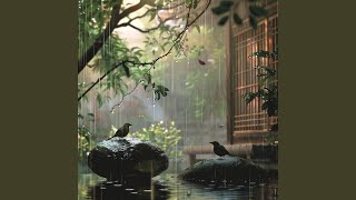Raindrop Massage Rhythms