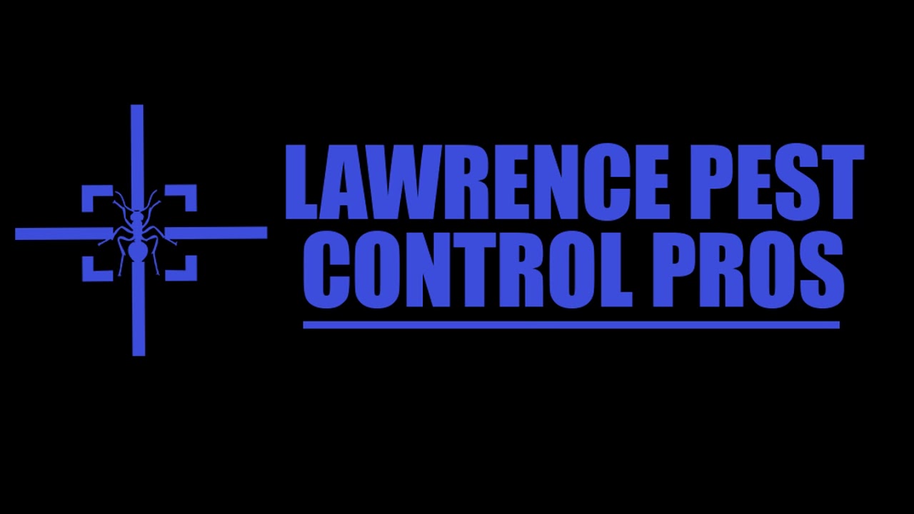 Lawrence Spider Control Spider Pest Control Service in Lawrence, KS