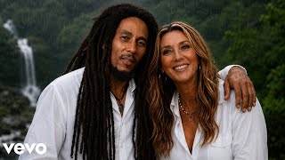 Celine Dion ft.Bob Marley - My Heart Will Go On (Reggae Version)  ( Music)