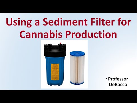 Using a Sediment Filter for Cannabis Production