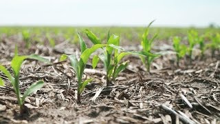 Farmers in Iowa concerned about US-China trade dispute