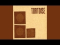 Tortoise - Night Air