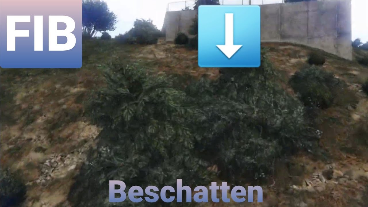 FIB Uni 01 Beschatten