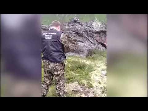 Медведь разорвал туриста фото
