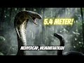 Kenapa King Cobra Bisa Memakan Black Mamba Yang 100x Lebih Mematikan? @flawlessxladerr