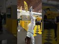 Joy Macht Handstand!!