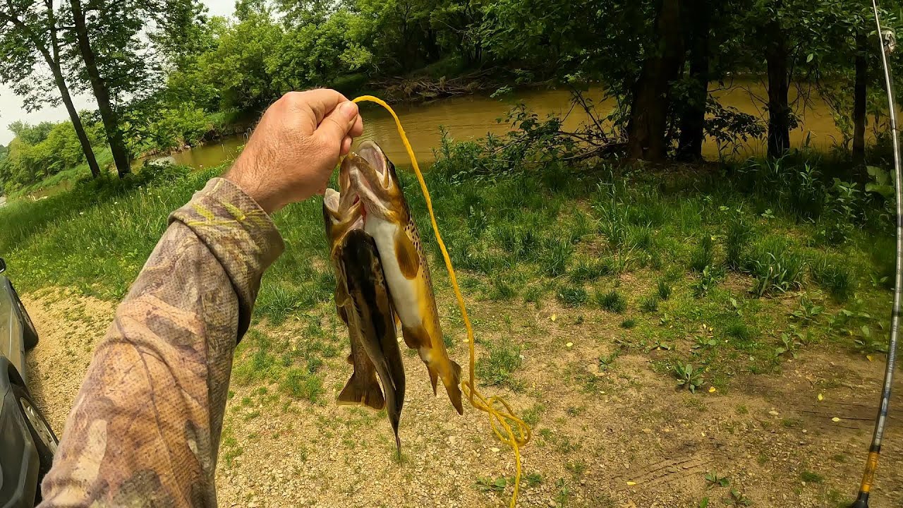 Wisconsin Trout Fishing 6/12/2022 YouTube