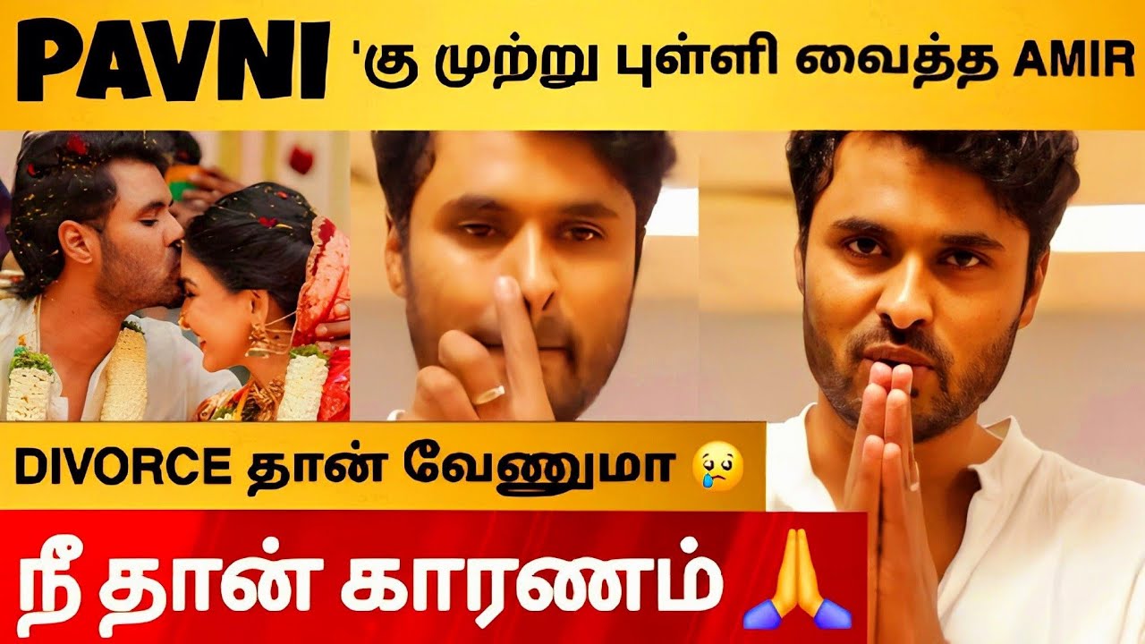 Amir Pavni Divorce 😢 வெளியிட்ட Shocking Video 💔 Amir வைத்த முற்றுபுள்ளி 