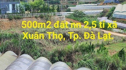 Bán đất 500m2 2,5 tỉ thôn Túy Sơn , xã Xuân Thọ, Tp. Đà Lạt. Bất động sản vùng ven Tp. Đà Lạt.
