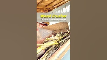 Astonishing Efficiency:The Ultra-Fast Wood Shredding Process of a Wood Chipper!#woodcrusher