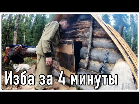 Как сделать дом в лесу своими руками видео