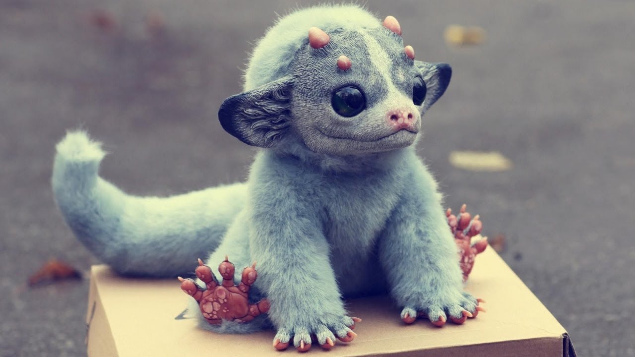 Most Weirdest and Amazing Animals 2020