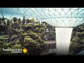 Singapore Airport Design and Features