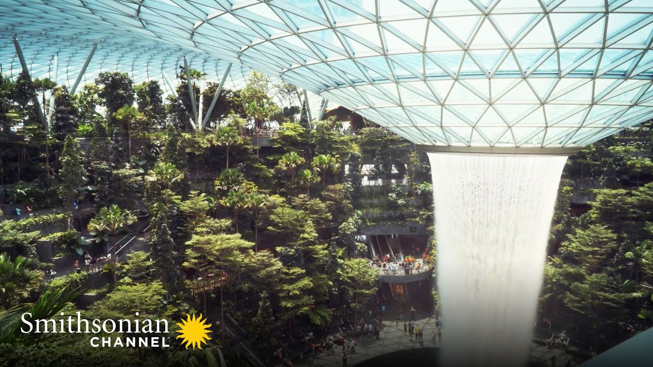 Film backdrop image for This Singapore Airport Has a Rainforest and a Waterfall Inside It (2022)