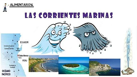 ¿Cuáles son las funciones de las corrientes cálidas?