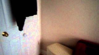 MOV01607.AVI