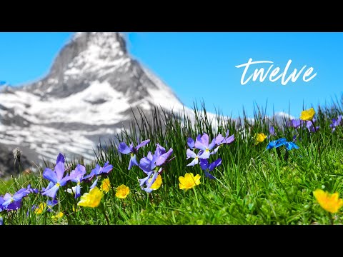 12 Hours Relaxing Music - Sleep Music, Relaxing Piano Music, Stress Relief, Study Music